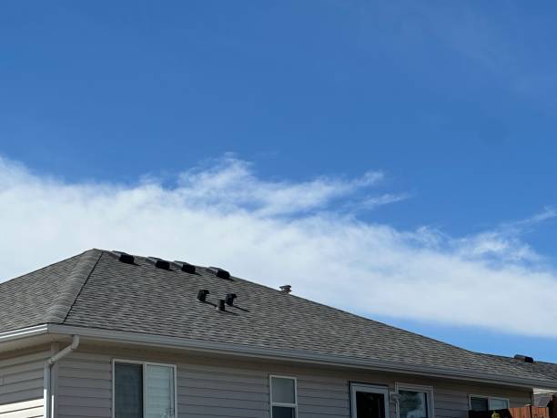 Best Steel Roofing  in Susquehanna Trails, PA
